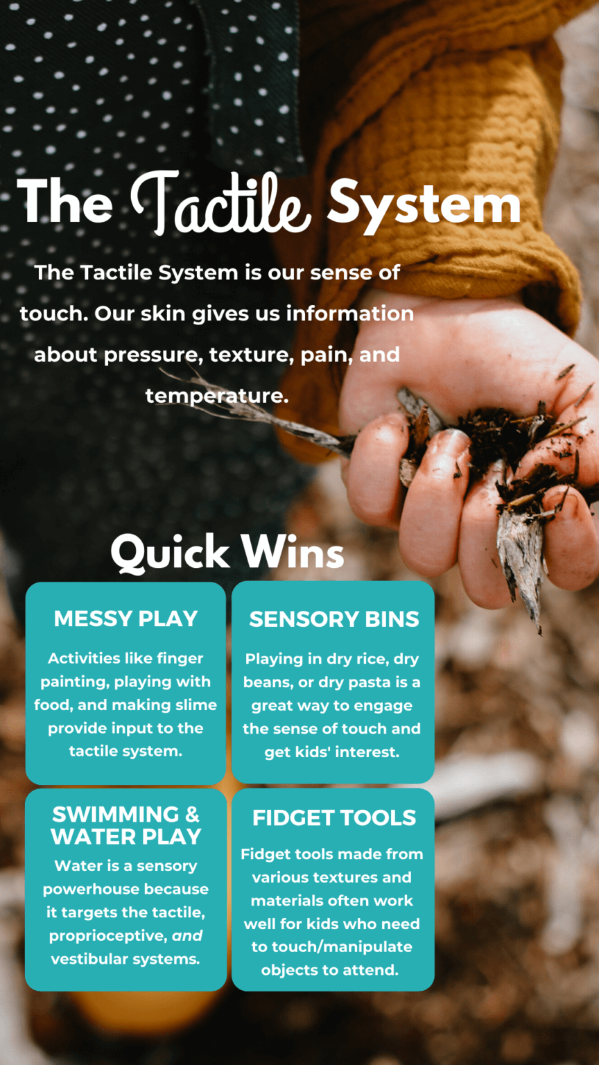 The Tactile System - The Inspired Treehouse