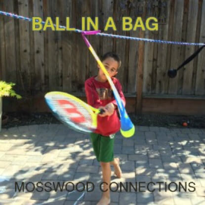 Ball-in-a-Bag-1