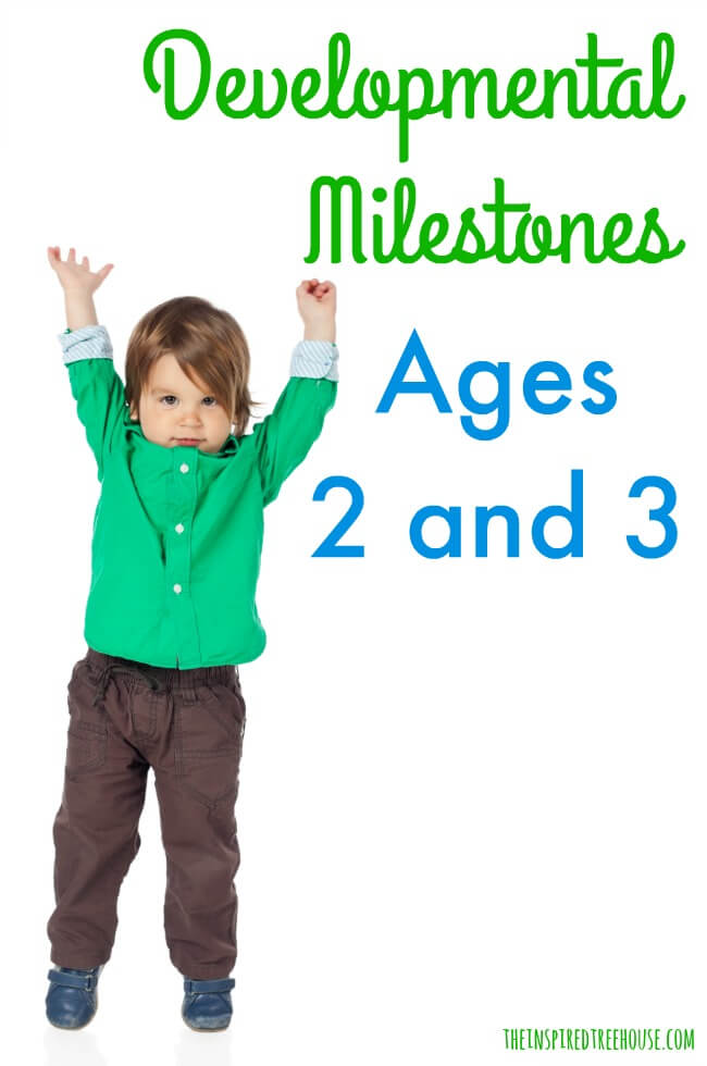 The Inspired Treehouse - Learn more about what to expect for 2-year-old milestones and 3-year-old milestones.