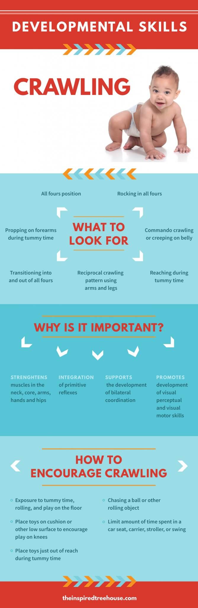 Blue, red and white infographic about the crawling milestone, including what to look for, why crawling is important, and how to encourage crawling.