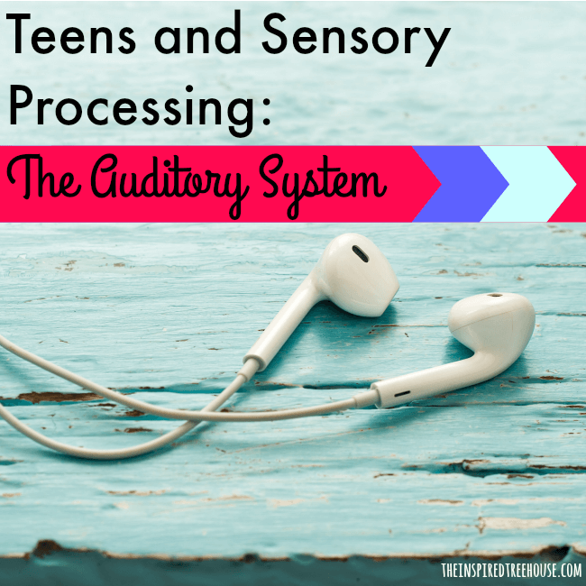 sensory processing auditory square