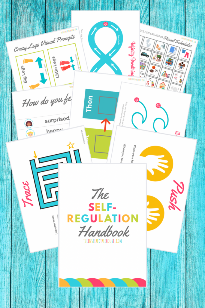 self-regulation handbook