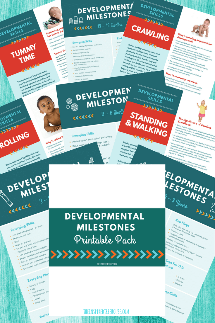 Printable Developmental Milestones Handout Pack