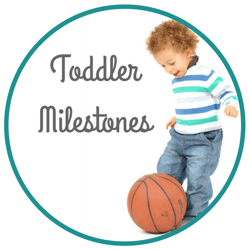 Toddler Development Stages Milestones